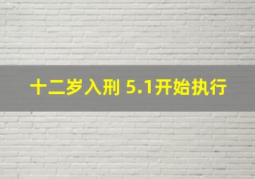 十二岁入刑 5.1开始执行